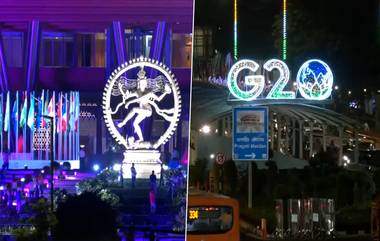 G 20 in India: వీడియో ఇదిగో, జీ20 సదస్సు కోసం ఢిల్లీ చేరుకున్న ఇండోనేషియా అధ్యక్షుడు జోకో విడోడో