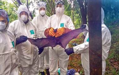 Nipah Virus: డేంజర్ బెల్స్.. కరోనా విలయం పూర్తయిందో లేదో.. మరో భయం..  కేరళలో రెండు అసహజ మరణాలు.. నీపా వైరస్ కారణమని అనుమానాలు..  అప్రమత్తమైన ప్రభుత్వం