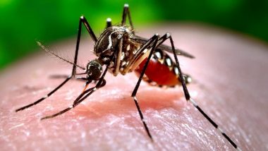 Dengue Outbreak: డెంగ్యూ అలర్ట్ , గత కొద్ది రోజుల్లోనే 7,000కు పైగా కేసులు నమోదు, 4,000 కేసులు బెంగళూరు నగరంలోనే, అప్రమత్తం అయిన కర్ణాటక ప్రభుత్వం