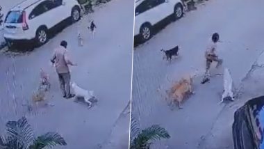 Dogs Attack Postman Video: వీడియో ఇదిగో, పోస్ట్‌మ్యాన్‌పై వీధికుక్కల గుంపు దాడి, సెక్యూరిటీ గార్డు రావడంతో బతికిపోయిన పోస్ట్‌మ్యాన్