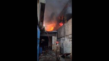 Delhi Fire Video : ఢిల్లీలో షూ ఫ్యాక్టరీలో ఘోర అగ్ని ప్రమాదం, సంఘటనా స్థలంలో 30కిపైగా ఫైర్‌టెండర్లు, వీడియో ఇదిగో..