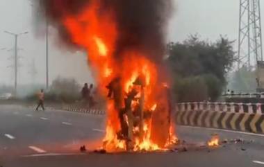 Road Accident Video: వీడియో ఇదిగో, రోడ్డు మీద జంతువును తప్పించబోయి మంటల్లో మాడి మసైన కారు, అందులో ప్రయాణిస్తున్న ప్రయాణికులు సేఫ్