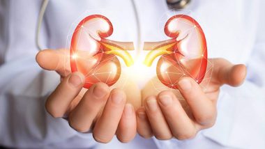 Health Tips: కిడ్నీ సమస్యలతో బాధపడుతున్నారా..అయితే ఈ ఫుడ్స్ తో సమస్యకు పరిష్కారం..