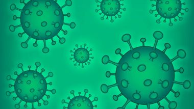 HMPV Virus In Hyderabad: తెలంగాణలో హెచ్‌ఎంపీవీ కలకలం.. గత నెలలో హైదరాబాద్‌ లో 11 హెచ్‌ఎంపీవీ కేసులు.. అయితే, అందరూ డిశ్చార్జ్