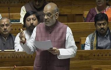 Amit Shah on Article 370: ఆర్టికల్‌ 370పై కేంద్ర హోం మంత్రి అమిత్ షా కీలక వ్యాఖ్యలు, జమ్మూకాశ్మీర్‌లో ఉగ్రవాదం పెరగడానికి అదే కారణమని రాజ్యసభలో వెల్లడి