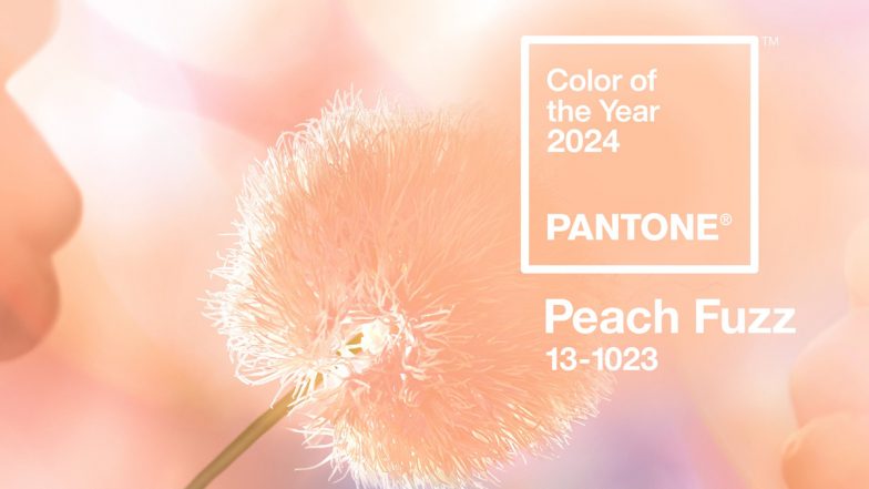 Pantone Color of the Year 2024: క‌ల‌ర్ ఆఫ్ ది ఇయ‌ర్ గా పీచ్ ఫ‌జ్, ఏరికోరి ఈ రంగునే ఎందుకు ఎంచుకున్నారంటే?