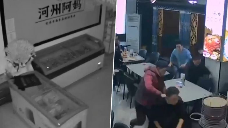 China Earthquake Video: చైనా భూకంపానికి ఇళ్లు ఎలా కుదేలయ్యాయో వీడియోల్లో చూడండి, 111 మంది మృతి, 220 మందికి తీవ్ర గాయాలు