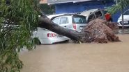 Cyclone Michaung: తుఫాను నెల్లూరును ఎలా ముంచిందో వీడియోల్లోచూడండి, ఎక్కడికక్కడే కార్లపై విరిగిపడిన చెట్లు, నీట మునిగిన లోతట్టు ప్రాంతాలు