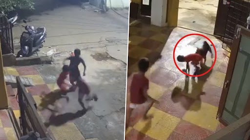Stray Dog Attack on Boy: వీడియో ఇదిగో, హైదరాబాద్‌లో ఆగని వీధి కుక్కల దాడి, తాజాగా దిల్‌సుఖ్‌నగర్‌లో ఇంట్లోకి వచ్చి మరీ బాలుడిని కరచిన కుక్క