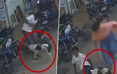 Stray Dog Attack in Hyd: బాబోయ్..యువకుడి పిక్క పట్టుకుని వదలకుండా కరిచిన వీధి కుక్క, ఎంతమంది తరిమినా భయపడని స్ట్రీట్ డాగ్, వీడియో ఇదిగో