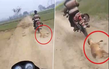 Animal Cruelty Caught on Camera: యూపీలో దారుణం, కుక్కను బైకుకు కట్టి ఈడ్చుకెళ్లిన ఓ వ్యక్తి, సోషల్ మీడియాలో వీడియో వైరల్