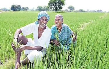 Telangana Farm Loan Waiver: రైతుల రుణమాఫీపై రేవంత్ రెడ్డి సర్కారు గుడ్ న్యూస్, 30 లక్షల మంది రైతుల రూ.32 వేల కోట్ల పంట రుణాల మాఫీ కోసం స్పెషల్ కార్పొరేషన్ ఏర్పాటు చేయబోతున్నట్లు ప్రకటన