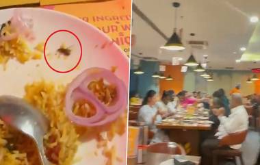 Dead Cockroach Found in Biryani: వీడియో ఇదిగో.. బిర్యానీ తినేవాళ్లు ముందు ఈ వీడియో చూడండి, జూబ్లీహిల్స్ రెస్టారెంట్‌లో కస్టమర్లకు వడ్డించిన బిర్యానీలో చనిపోయిన బొద్దింక