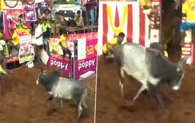 Alanganallur Jallikattu: ప్రారంభ‌మైన‌ వ‌ర‌ల్డ్ ఫేమ‌స్ అలంగ‌నల్లూర్ జ‌ల్లిక‌ట్టు ఉత్స‌వాలు, క‌నుమ మ‌ర‌సటి రోజు జ‌రిగే పోటీల కోసం దేశ విదేశాల నుంచి ప్రేక్ష‌కులు