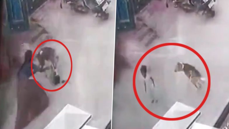 Stray Dog Attack in Hyderabad: సీసీటీవీ పుటేజీ ఇదిగో, ఇంటి బయట ఆడుకుంటున్న చిన్నారిపై కుక్క దాడి, తృటిలో తప్పించుకుని ఇంట్లోకి పరిగెత్తిన బాలిక