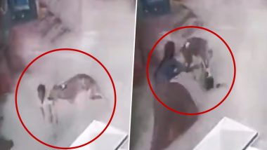 Stray Dog Attack: హైదరాబాద్ లోని పీర్జాదిగూడలో ఓ చిన్నారిపై వీధికుక్క దాడి.. అప్రమత్తమై వెంటనే కాపాడిన మహిళలు (వీడియో ఇదిగో)