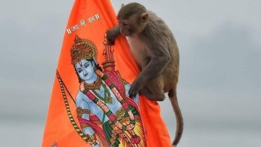 Monkey Enters Inside Ram Temple: రామ మందిరంలోకి ప్రవేశించిన కోతి, బాలక్ రామ్‌ను దర్శించుకునేందుకు రాముడి విగ్రహం సమీపంలోకి వెళ్లిన వానరం