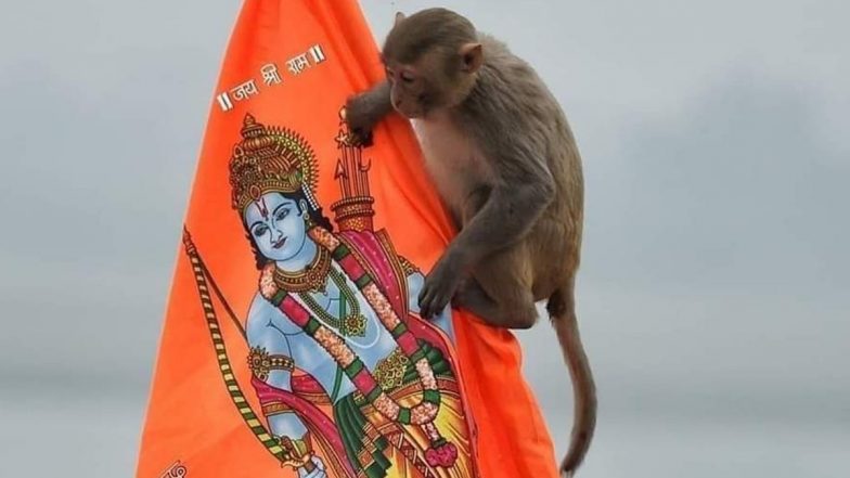 Monkey Enters Inside Ram Temple: రామ మందిరంలోకి ప్రవేశించిన కోతి, బాలక్ రామ్‌ను దర్శించుకునేందుకు రాముడి విగ్రహం సమీపంలోకి వెళ్లిన వానరం