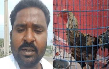 Fighter Rooster Auction: సజ్జనార్ సార్ దయచేసి నా పందెం కోడి వేలాన్ని ఆపండి, వీడియో ద్వారా వేడుకున్న కోడి యజమాని