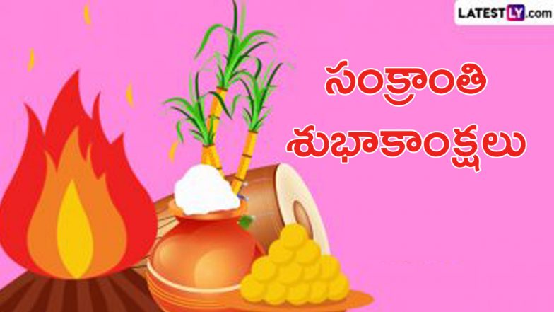 Sankranti Wishes in Telugu: సంక్రాంతి శుభాకాంక్షలు తెలుగులో, మీ బంధుమిత్రులకు, స్నేహితులకు ఈ కోట్స్ ద్వారా పొంగల్ శుభాకాంక్షలు చెప్పేయండి