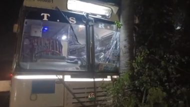 Telangana Road Accident Video: వీడియో ఇదిగో, కరీంనగర్ వెళ్తూ చెట్టును ఢీకొట్టిన ఆర్టీసీ బస్సు, 26 మందికి గాయాలు