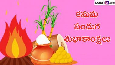 Kanuma Wishes in Telugu: కనుమ శుభాకాంక్షలు తెలుగులో, మీ బంధుమిత్రులకు, స్నేహితులకు ఈ కోట్స్ ద్వారా పండుగ శుభాకాంక్షలు చెప్పేయండి