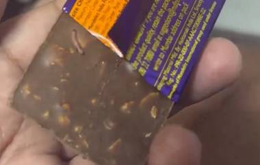 Worm in Cadbury Dairy Milk Chocolate: డైరీ మిల్క్‌ చాక్లెట్‌లో పురుగు, అవి తినడం సురక్షితం కాదంటూ బాంబు పేల్చిన తెలంగాణ స్టేట్ ఫుడ్ ల్యాబరేటరీ