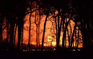 Chile Forest Fire: చిలీ అడవుల&zwnj;ను ద&zwnj;హించివేస్తున్న కార్చిచ్చు, ఒక్క&zwnj;రోజే 46 మంది స&zwnj;జీవ&zwnj;ద&zwnj;హ&zwnj;నం, 115కు చేరిన మృతుల సంఖ్య&zwnj;