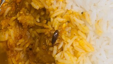 Cockroach Found in Meal on Train: వందేభారత్ రైలు భోజనంలో చచ్చిన బొద్దింక, ఒక్కసారిగా షాక్ అయిన ప్యాసింజర్, రైల్వే శాఖ రెస్పాన్స్ ఏంటంటే..