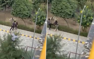 Video- Guy Kicking Girl: ప్రేమికుల రోజున ప్రియురాలిపై దారుణం, కాలుతో తన్నుతూ పదే పదే దాడి చేసిన ప్రియుడు, వీడియో ఇదిగో..