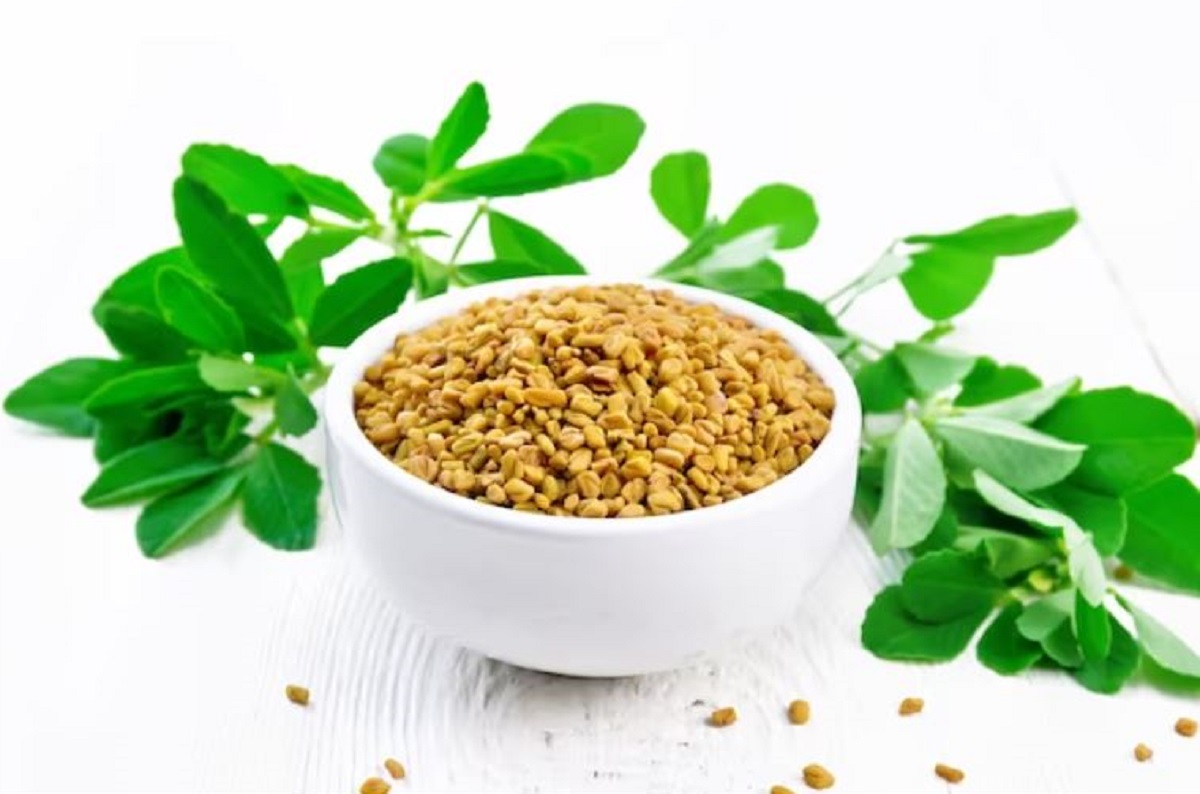 Health Tips: ఖాళీ కడుపుతో మెంతుల నీరును తాగడం ద్వారా కలిగే ప్రయోజనాలు ఏమిటో తెలుసా..
