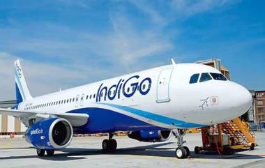 Bomb Threat to IndiGo Flight: ఇండిగో విమానానికి బాంబు బెదిరింపు, నాగ్‌పుర్‌ లో అత్యవసరంగా దించేసిన అధికారులు