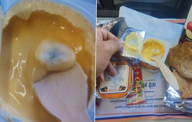 Fungus in Yogurt in Vande Bharat: వందేభారత్ రైలు భోజనం పెరుగులో ఫంగస్, మీ సర్వీస్ ఇంత దారుణమా అంటూ ప్రయాణికుడు ట్వీట్, రైల్వేశాఖ స్పందన ఏంటంటే..