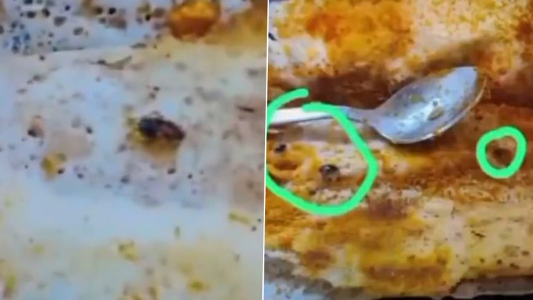 8 Cockroaches in Dosa: దోసెలో 8 బొద్దింకలు చూసి బిత్తరపోయిన కస్టమర్, ఢిల్లీ కేఫ్‌లో తనకు జరిగిన చేదు అనుభవం వీడియో షేర్ చేసిన మహిళ