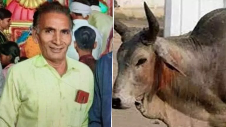 Bull Attack: కాన్పూర్ లో ఘోరం.. ఎద్దు దాడిలో బీజేపీ బూత్ ప్రెసిడెంట్ ముఖేశ్ ఆవస్తీ మరణం