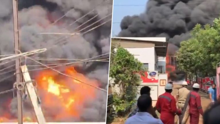 Andhra Pradesh Fire: విజయవాడలో భారీ అగ్నిప్రమాదం, ఆయిల్‌ శుద్ధి చేసే కేంద్రంలో చెలరేగిన మంటలు, వీడియో ఇదిగో..