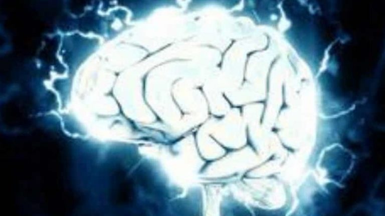 Human Brain Size Increase: అంతకంతకూ పెరుగుతున్న మనిషి మెదడు సైజు.. అమెరికాకు చెందిన పరిశోధకుల అధ్యయనంలో వెల్లడి