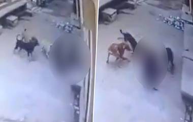 Stray Dogs Attack: చిన్నారి పై వీధికుక్కల దాడి.. ప్రాణాలు కాపాడిన యువకుడు.. యూపీలో ఘటన (వీడియోతో)