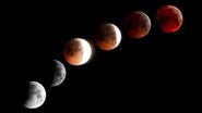 Lunar Eclipse 2024: రేపు ఈ ఏడాదిలో రెండో చంద్రగ్రహణం, మనుషుల ఆరోగ్యంపై ఇది ఎంత వరకు ప్రభావితం చూపిస్తుందో తెలుసా..?