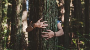 Rs 1,500 for Hugging Trees: చెట్లను కౌగిలించుకునేందుకు రూ.1500 రుసుము.. మానసిక ఒత్తిడి తగ్గించుకునేందుకంటూ బెంగళూరులో ఓ కంపెనీ కార్యక్రమం.. విమర్శలు