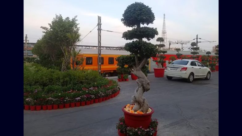 Rs. 25 Lakhs Tree: న్యూఢిల్లీ రైల్వే స్టేషన్‌ కు అదనపు ఆకర్షణ.. థాయ్‌ లాండ్‌ నుంచి తెప్పించిన ప్రత్యేక చెట్టు.. ఖరీదు అక్షరాలా రూ.25 లక్షలు.. నీళ్లు మాత్రమే కాదు నెలకు రూ. 7,500 ఆహారం కూడా ఇవ్వాల్సిందే!