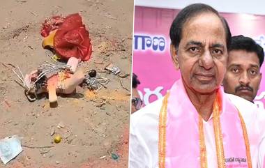 Black Magic Rituals Near KCR House: వీడియో ఇదిగో, కేసీఆర్ ఇంటి పక్కన క్షుద్ర పూజలు కలకలం, సీసీటీవీ ఫుటేజీ పరిశీలిస్తున్న అధికారులు