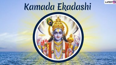 Kamada Ekadashi 2024: కామద ఏకాదశికి సంబంధించిన పురాణ ార్కెట్లో విడుదలైన సుజుకి హాయబుసా మోటార్ సైకిల్