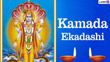 Kamada Ekadashi 2024: కామద ఏకాదశి రోజున ఈ పనులు చేస్తే  శ్రీకృష్ణుడి ఆగ్రహానికి గురవుతారు, ఆ రోజున చేయవలసినవి, చేయకూడని పనులు ఏంటో తెలుసుకోండి