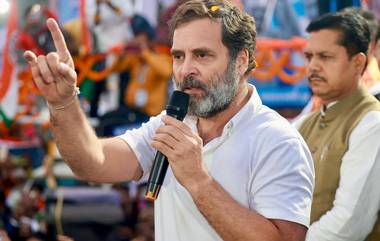 Rahul Gandhi Indian Citizenship Issue: రాహుల్ గాంధీ భార‌త పౌర‌సత్వాన్ని ర‌ద్దు చేయండి! కోర్టును ఆశ్ర‌యించిన బీజేపీ నేత సుబ్ర‌మ‌ణ్య‌స్వామి