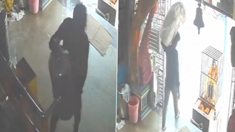 Theft Caught on Camera: వీడియో ఇదిగో, పట్టపగలే అమ్మవారి గుడిలో హుండీ చోరీ, భక్తుడిలా వచ్చి హుండీని భుజాన వేసుకుని వెళ్లిపోయిన దొంగ