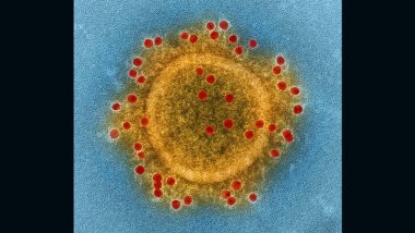 MERS Coronavirus: సౌదీలో మెర్స్‌ కరోనా వైరస్‌.. మూడు కేసులు నమోదు.. ఒకరి మృతి