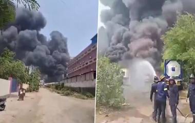 Dombivli Boiler Blast: మహారాష్ట్ర‌లో ఘోర అగ్నిప్రమాదం, ఆరుమంది మృతి, మరో 48 మందికి తీవ్ర గాయాలు, ఫ్యాక్ట‌రీలోని ఓ బాయిల‌ర్‌లో ఒక్కసారిగా పేలుడు