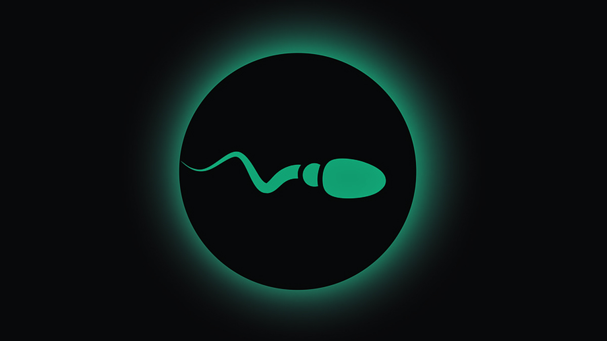 Sperm Quality Linked to Living Longer: వీర్య కణాల నాణ్యత ఎక్కువగా ఉన్న వారికి గుడ్ న్యూస్, తక్కువ ఉన్నవారి కంటే వాళ్లు మూడేళ్లు ఎక్కువగా జీవిస్తారని చెబుతున్న అధ్యయనాలు