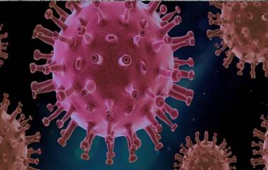 HMPV Virus In India: భారత్ లోకి ప్రవేశించిన చైనా వైరస్.. బెంగళూరులో 8 నెలల పాపకు హెచ్ఎంపీవీ నిర్ధారణ